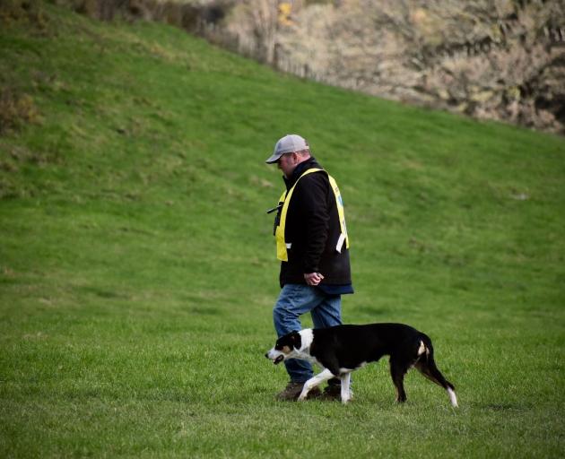 Paul Collins, of Tahatika, and Sky  came first in the long head event at the New Zealand Sheep...