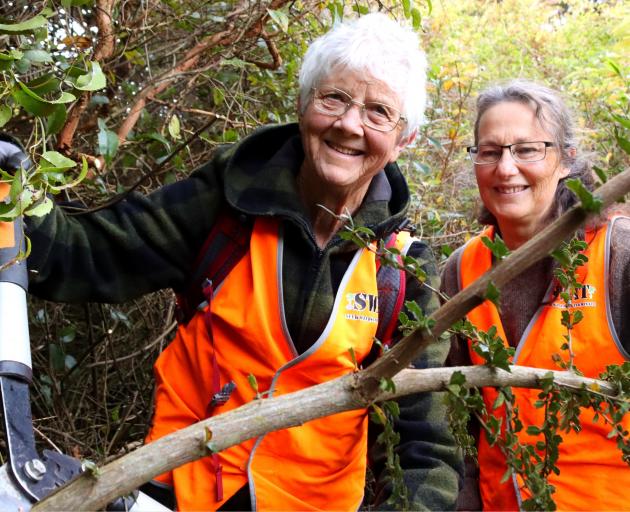 Tackling Darwin’s barberry are Swat members Moira Parker (left) and Fran Hammond. PHOTOS: SIMON...