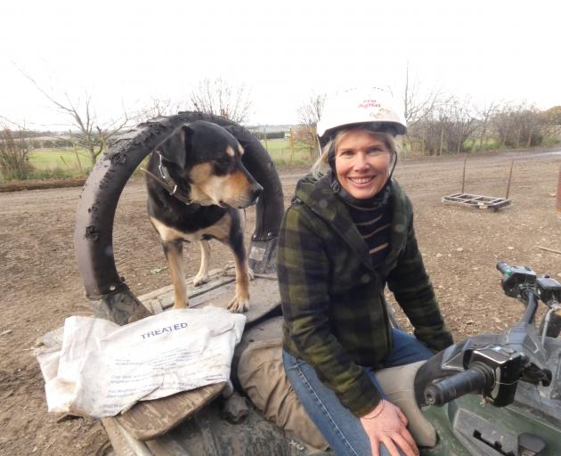South Canterbury farming leader Nicky Hyslop juggles a busy life of farming at The Levels and...