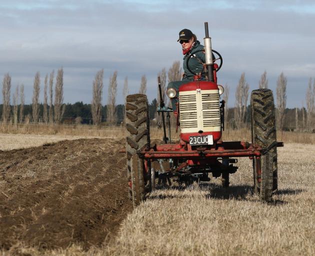 Paula Jordan, of Blenheim, keeps her 1951 Farmall tractor straight.