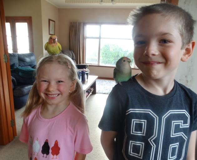 Papakaio brother and sister, Anna, 6, and Bobby, 8, Dawson pose with their treasured lovebirds,...