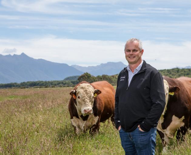 Beef + Lamb genetics specialist Jason Archer is encouraging farmers to nominate bulls for an...