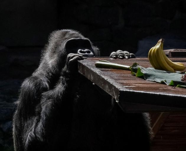 PHOTO: REUTERS