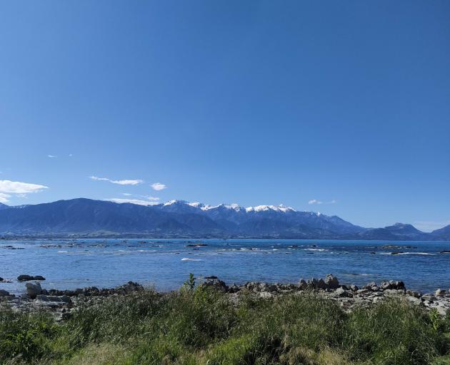 Kaikōura’s tourist operators are gearing for another busy season. Photo: David Hill / North...