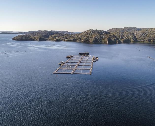 Sanford's salmon farm, Stewart Island. PHOTO: SUPPLIED