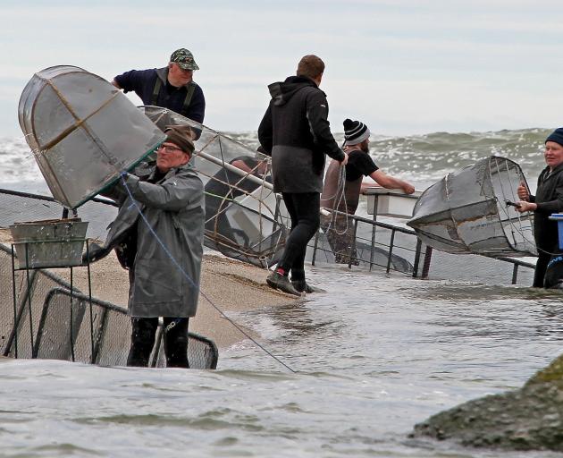 Whitebaiters watch each other’s backs as they brave the waves at the Clutha River’s northern,...