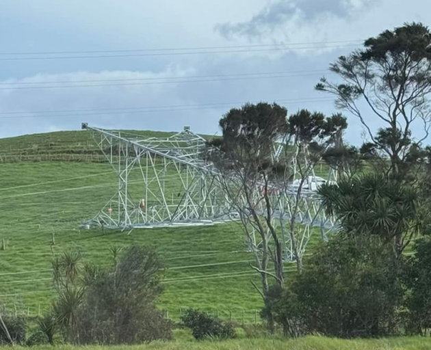 The fallen pylon. Photo: Supplied / Kawakawa Electrical Ltd
