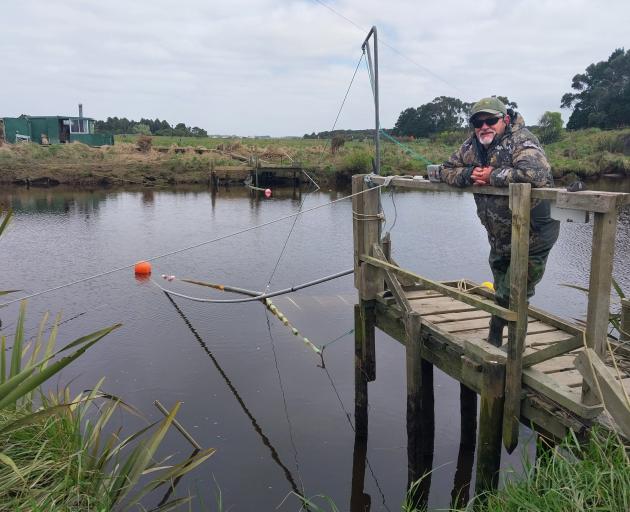 Whitebaiter Neville Henderson on a whitebait stand at Titiroa Stream. PHOTO: STEVE HEPBURN