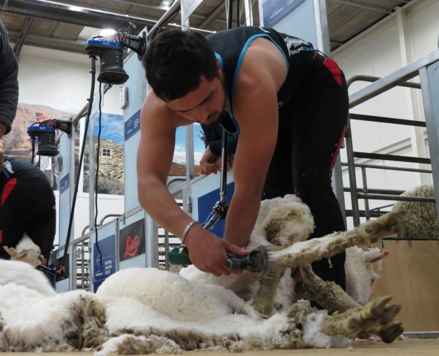 Shearer Shaun Goosen, of Bloemfontein, South Africa, competes in the senior machine shearing...