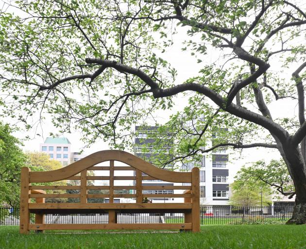 The Sophia Crestani memorial bench on the University of Otago campus yesterday. PHOTO: GERARD O...