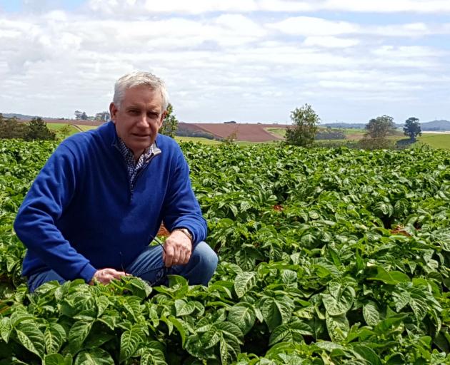 Canterbury Potato Liberibacter Initiative chairman John Jackson says growers are controlling the...