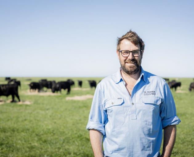 Te Mania Angus stud director Will Wilding is working with scientists in a trial to identify beef...