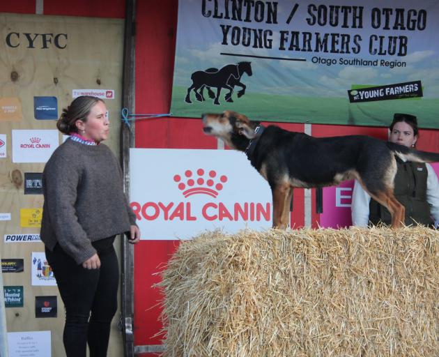 Balfour Young Farmers Club member Anna Schollum and her dog take on the bark up challenge. PHOTO:...