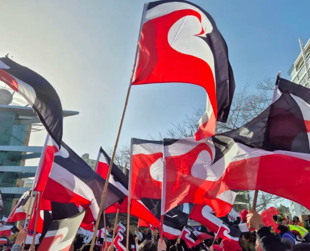 The hīkoi against the proposed Bill is going ahead as planned, despite the Bill's earlier...