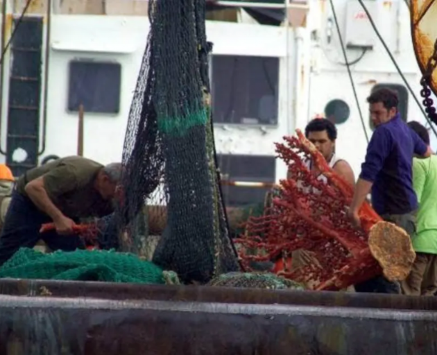 A New Zealand fishing vessel caught more than double the legal amount of coral, triggering a ban...