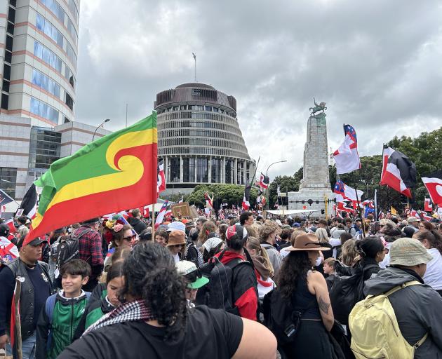 A photo taken by Dunedin resident Jill Bowie as Hīkoi mō te Tiriti arrived at Parliament yesterday. 