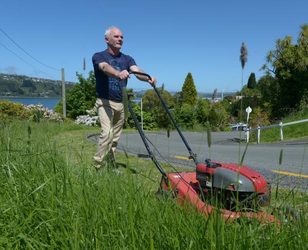 West Harbour residents are battling through wild grass growing on council-owned verges and should...