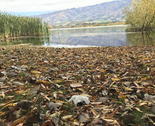 Rocky Point at the head of Lake Dunstan. PHOTO: ODT FILES
