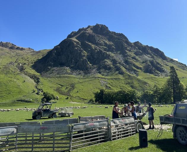 Jack Lyders’ tailing gang enjoy a rare hot and sunny day on the tailing chute.