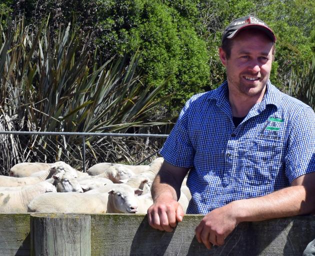 Arkley Farm owner Pete Gardyne and his Poll Dorset ram flock.