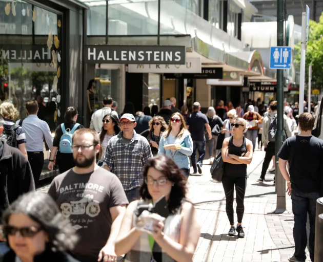 Christmas shopping in Wellington before the pandemic. Photo: RNZ