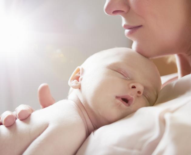 Health NZ's proposed reduction of 25 full-time roles from their funding team was announced last...