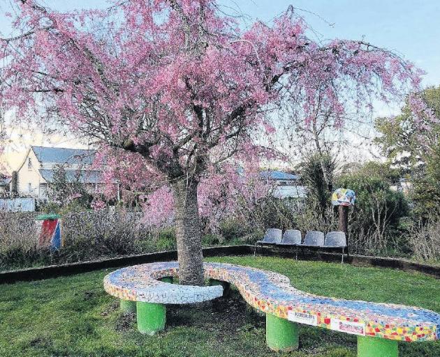 An ornamental cherry tree surrounded by a Koru mosaic tree has been nominated for the Waimakariri...