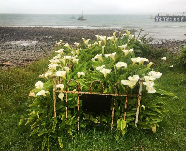 A beachside grave at Jackson Bay. PHOTO: ODT FILES
