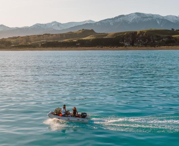 Kaikōura is a great area to go whale watching or see some dolphins.