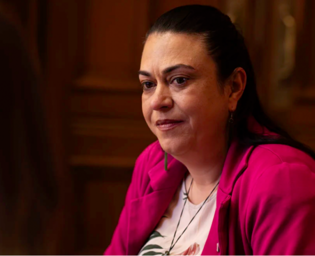 Children's Minister Karen Chhour says the cuts would mean more money is spent on young people....