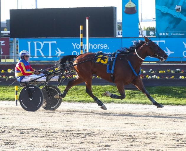 Rata, who brilliantly won the group 2 Grand Duchess Mares Trot at Addington last month, looks the...