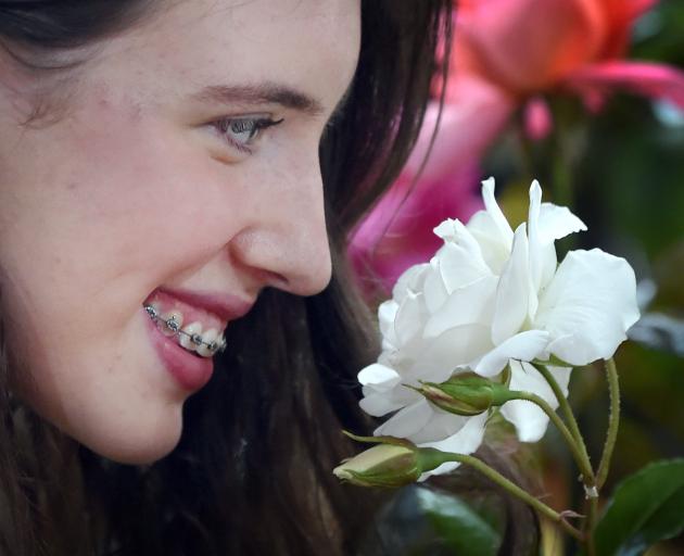 Iris Earp, 16, smells a rose at the Otago Rose Society annual show on Saturday. PHOTO: PETER...