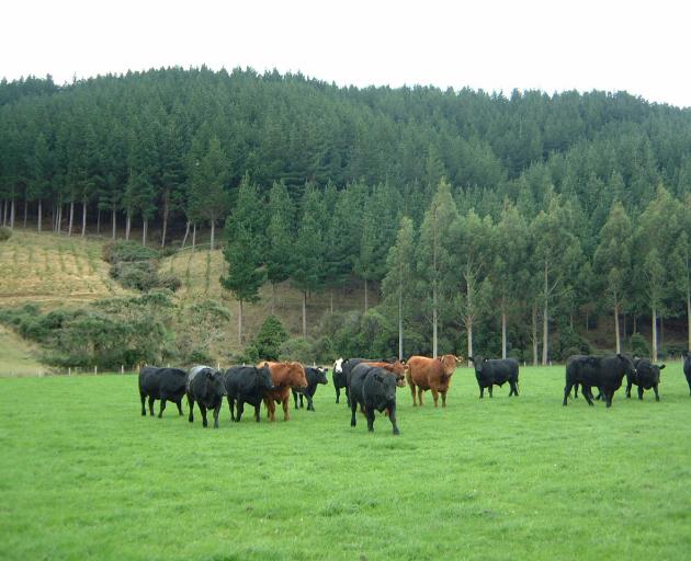 Farmers are anxious about the increased scrutiny they face in trying to reduce greenhouse gas...