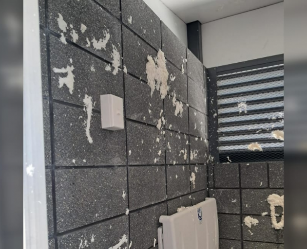 Vandals leave wet toilet paper stuck to the walls of Riverton's new $620,000 public toilets....