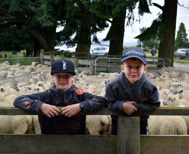 Inspecting Suftex-cross mixed-sex lambs at Silverpeaks Station in Hindon are Hunter Nicolson, 8,...