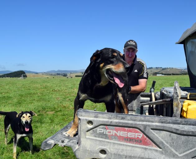 Ross "Bones" Hay and his dogs, Earl (left) and Hobbs.