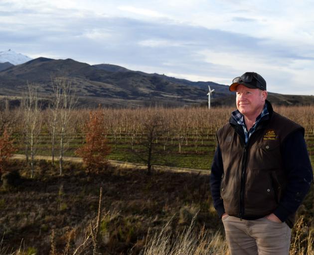 3 Kings Cherries co-owner Tim Paulin. PHOTO: ODT FILES