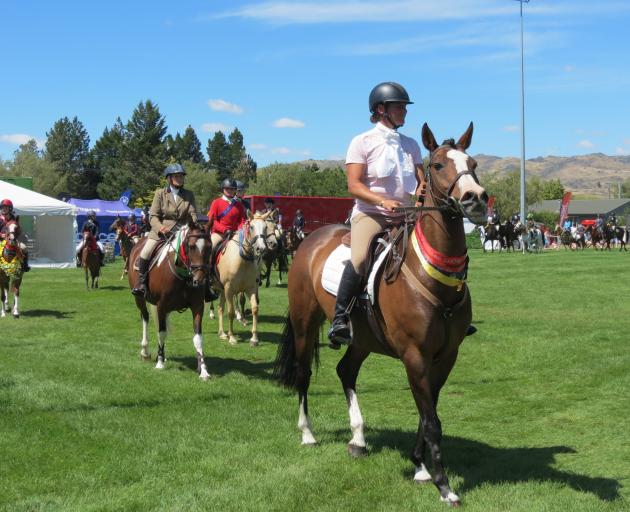 Horses take part in the grand parade which opened the 127th Central Otago A&P Show on Saturday....