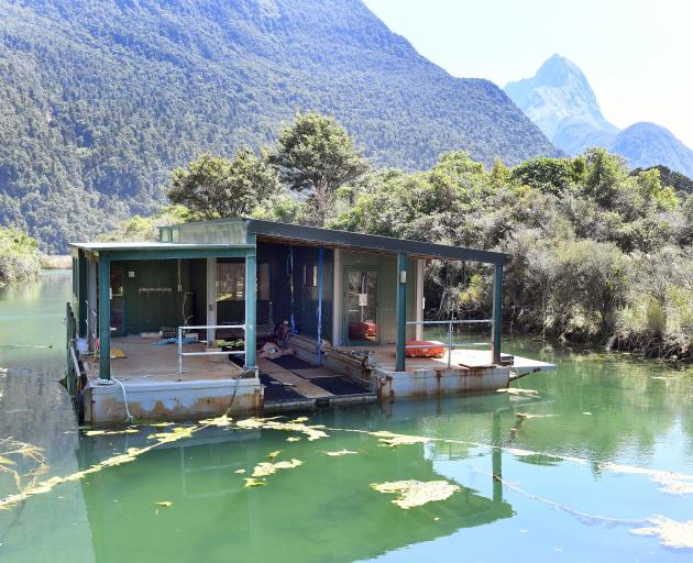 An old pontoon floats at Deepwater Basin. PHOTO: STEPHEN JAQUIERY