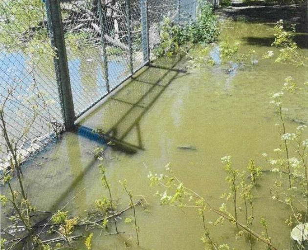 Discharge from the Queenstown Lakes District Council wastewater plant. PHOTO: SUPPLIED