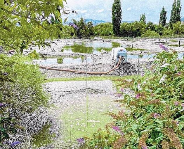Discharges from the Shotover Wastewater Treatment Plant create extensive ponding beyond the plant...