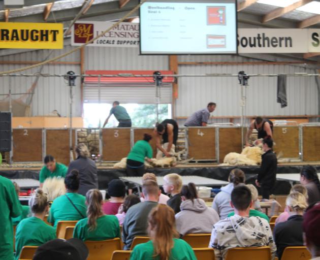 The Gore A&P Showgrounds are packed with sheep, shearers, handlers and attentive audience members...