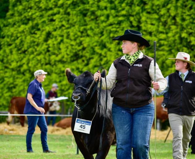 Placing second in the senior handling section at the Gore A&P Show is Kristen Devery, of...