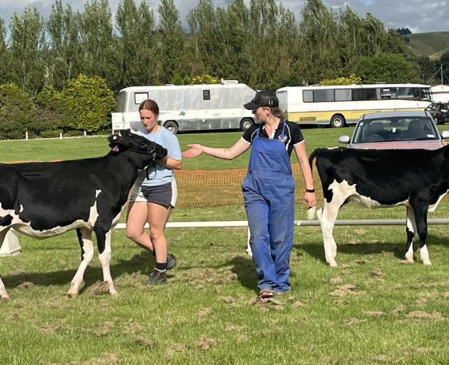 Kate Cummings imparts knowledge to Eva Hellewell-Byars at a Holstein Friesian New Zealand young...