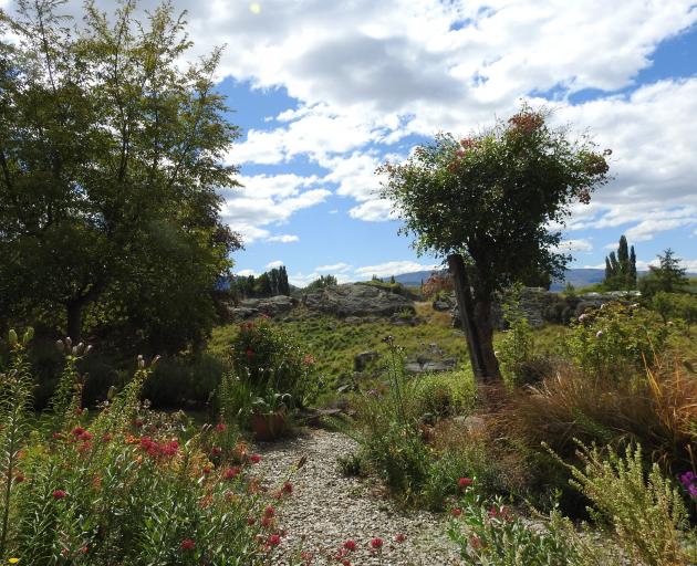 Cathy Robertson loves the natural rocks in her garden in Earnscleugh and finds, despite the dry...