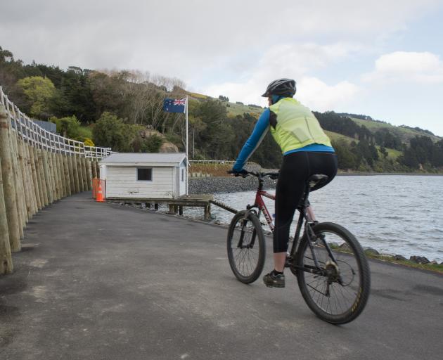 A cyclist on the shared path between Vauxhall and Macandrew Bay. PHOTO: GERARD O’BRIEN