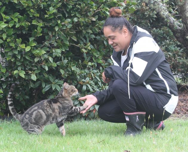 Torria Cummings found her cat Ceaser through a post on social media and knew it was definitely...