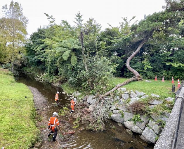 Workers begin clearing the fallen branch in Dixon Park this morning. Photo: Greymouth Star 