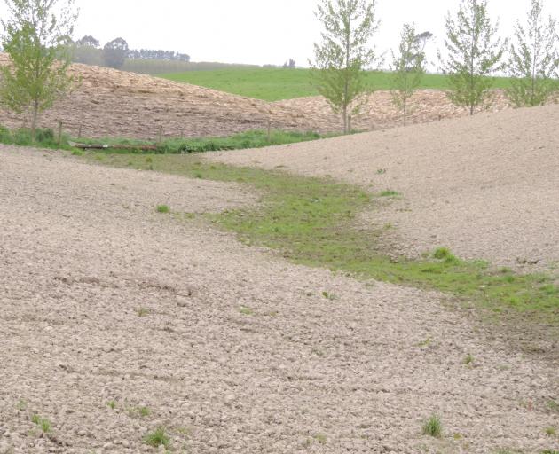 Runoff can be reduced by not cultivating low-lying areas in a paddock. PHOTO: ALLIED PRESS FILES