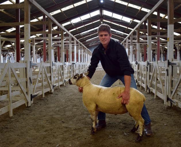 Glenrobin Stud co-owner Michael Robinson displays Beltex Suffolk cross ram lamb Glenrobin 284/24,...